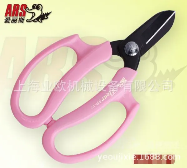 �ձ�����˹ ARS FP-17-P �������ռ��� �廨�� ����԰���辰֦��
