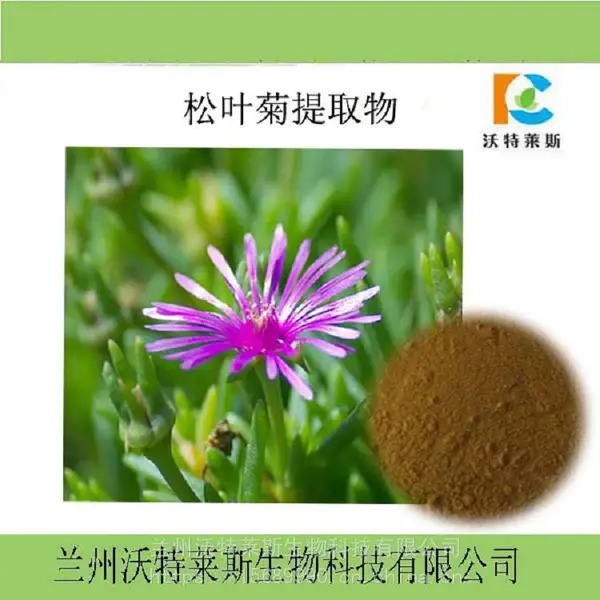��Ҷ����ȡ��10:1 ��ȡҺ Ũ���� ԭ�� ���ֹ�� 1kg�� ����