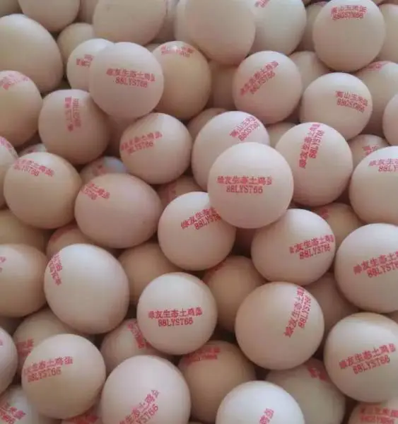 遂宁小字符喷码机维修,遂宁手持喷码机供应
