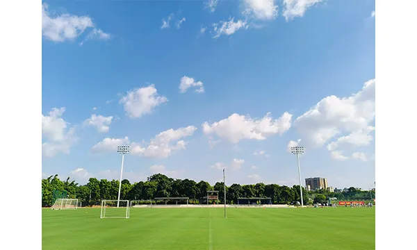 浙江大型球场LED体育照明场景控制 服务为先 广东七大洲实业供应