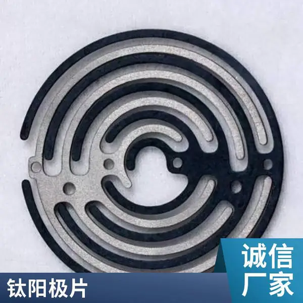 钛电极片 果蔬清洗机 食材净化机 除农残 电解专用
