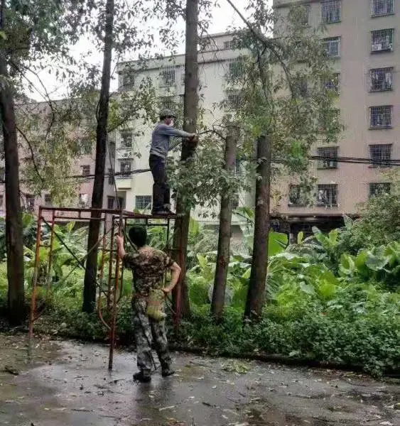 ��ݸרҵ�������������������������߿��޼���֦���޼��̻���