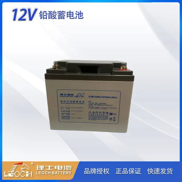 LEOCH��ʿ����DJM1238s ����ͺ�12V38AH ups��Դ���
