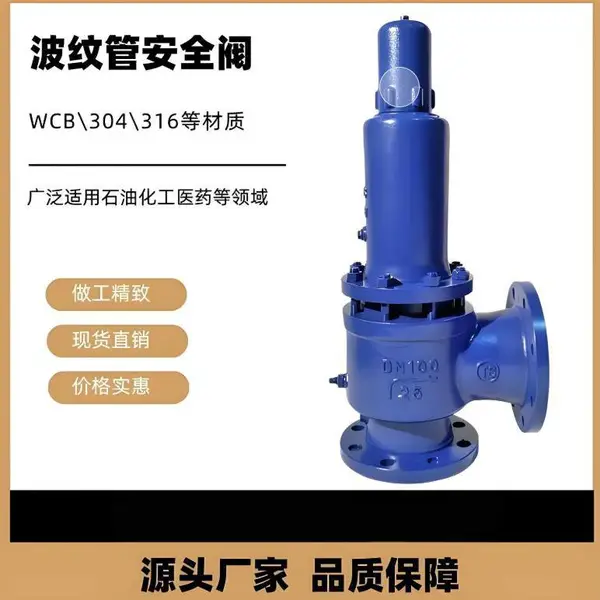 A42F46-16P不锈钢材质耐腐蚀衬氟安全阀 南高阀门