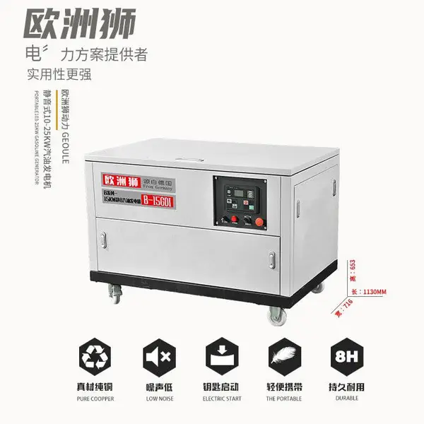等功率10kw汽油发电机 欧洲狮动力B-10GDI