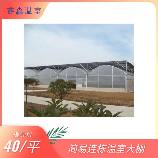 简易连栋棚 连栋温室 种植棚 育苗棚 薄膜温室