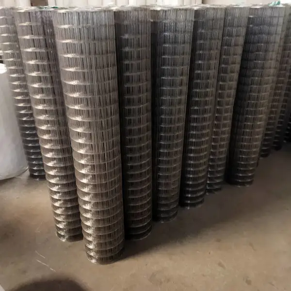 5目不锈钢筛网/不锈钢电焊网,0.5mm丝,304不锈钢