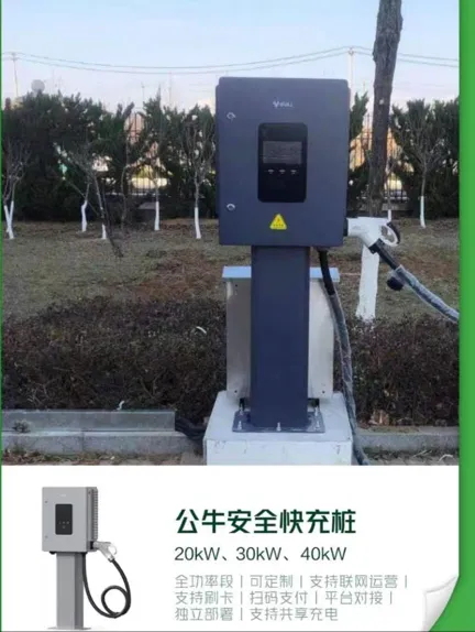 公牛新能源纯电动环卫车直流充电桩保洁清扫垃圾自装卸巡逻观光车