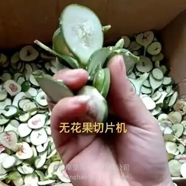 直销柳州青果山楂果切片机 厚薄能调的离芯切片机 呈昊销售新款