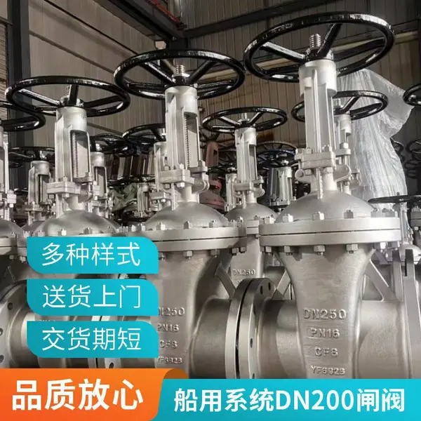 美标不锈钢闸阀 明杆弹性座封 污水工程用 山东直销