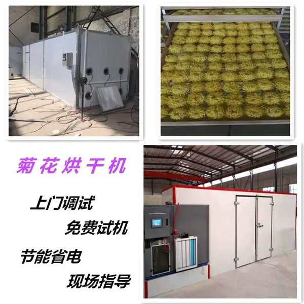 2019新型菊花烘干房 菊花热泵烘干机 河南润泽销售野菊花杭白菊干燥箱