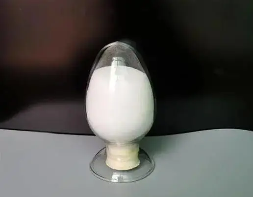 ʮ����ʮ����