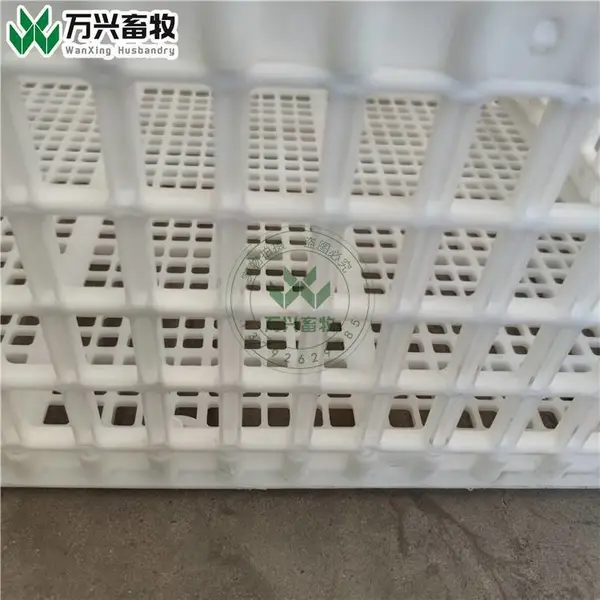 供应万兴畜牧鸡周转筐