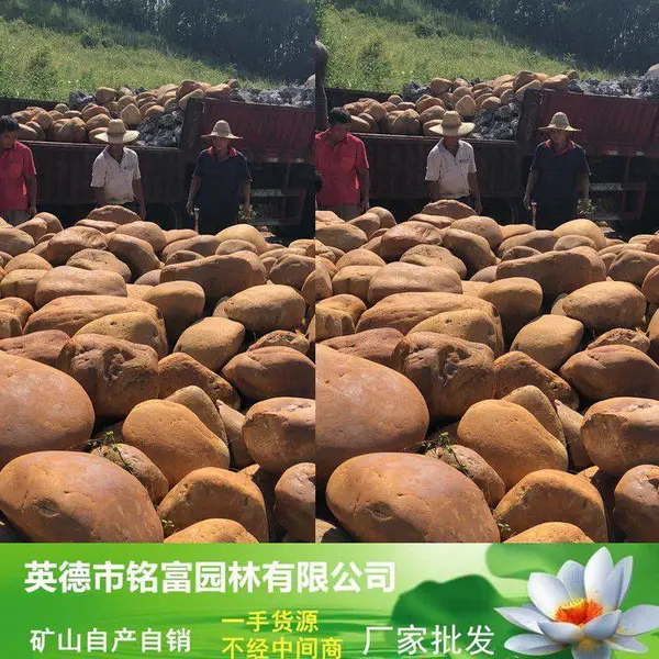 圆润的黄蜡石价 光格滑透的黄蜡石 一吨这样光滑的黄石是?4