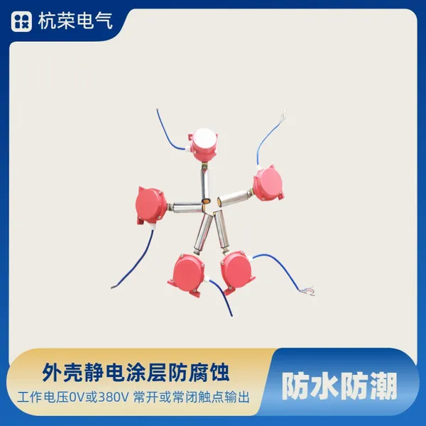GUB-K-I电厂用防爆两级跑偏开关SUK-12/30-微动开关