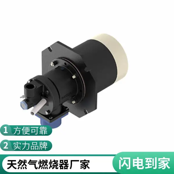 烧嘴 天然气液化气燃烧器 柴油烧嘴 支持定制 智岱鼎燃烧