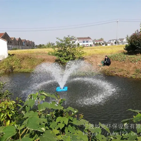 装饰湖泊曝气器 喷泉净水机