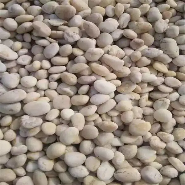 人工树池石-膨胀蛭石 荣茂树池鹅卵石品种多 型号齐全 欢迎选购