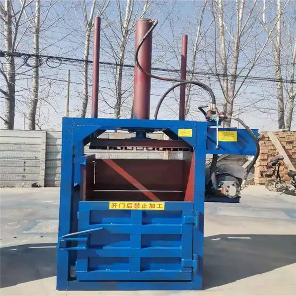 ��ʽҩ�Ĵ�����Ͼ���̥��������ƷС��Һѹ��������
