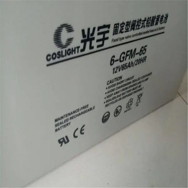 ��������6-GFM-38 12V24AH/20HR ��ά��Ǧ������12V24AH����/ֱ����ר