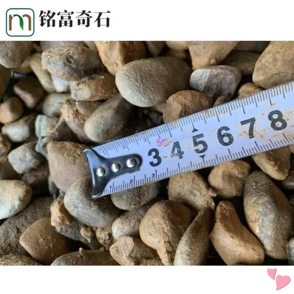 现代鹅卵石风格庭院,广 东杂色鹅卵石原厂,创意家居鹅卵石造景