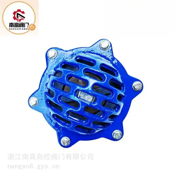 水泵吸水口用铸铁铸钢底阀H42X -16C南高阀门 升降式法兰止回阀