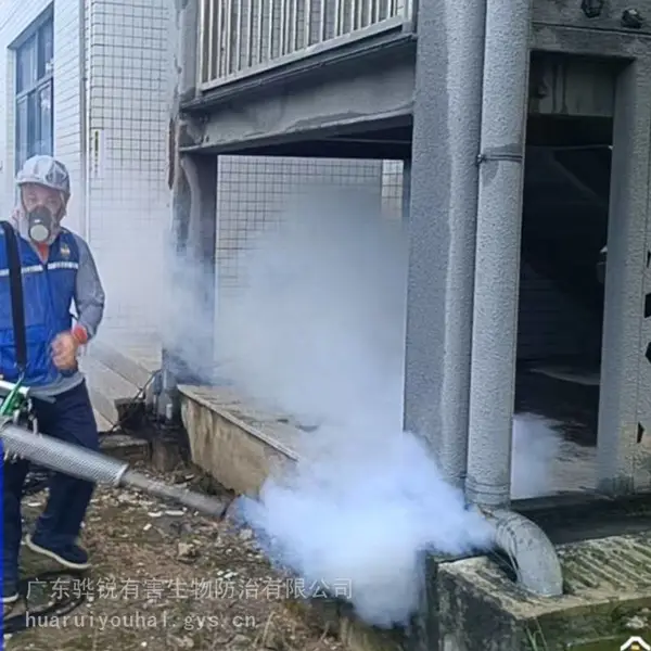 浙江杀虫灭鼠 浙江宿舍杀臭虫公司 承接各类消杀工程