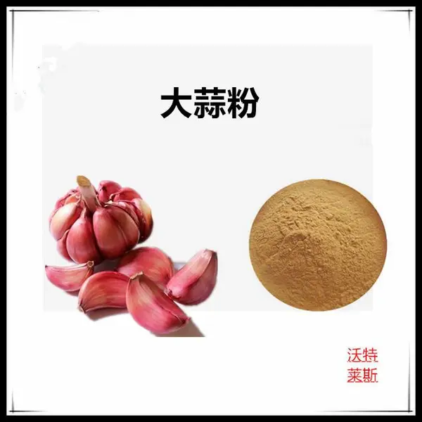 沃特莱斯生物 大蒜粉 定做提取液 棕黄色粉末食品级原料