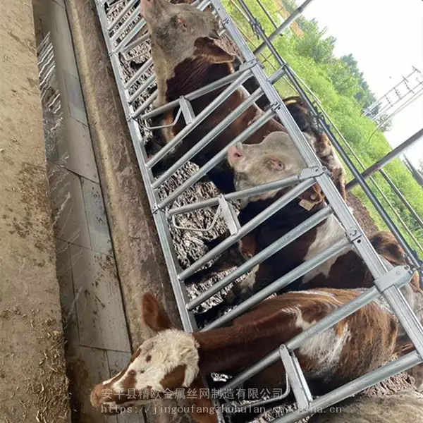养殖场设备自锁式新型牛颈枷 热镀锌牛颈夹防止抢食打架牛脖夹