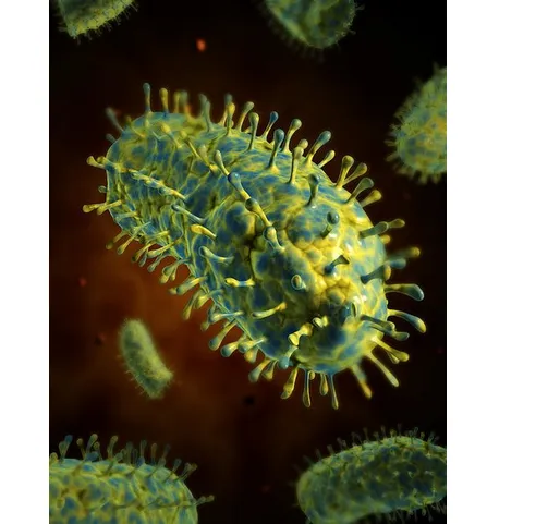 ��Ȯ������������ PCR��⼼������ʵ��