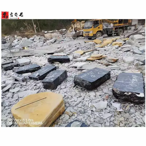 ��԰���̤��ʯ ����ͥԺ���ʯ԰�ֹ㳡����͡����·ʯ
