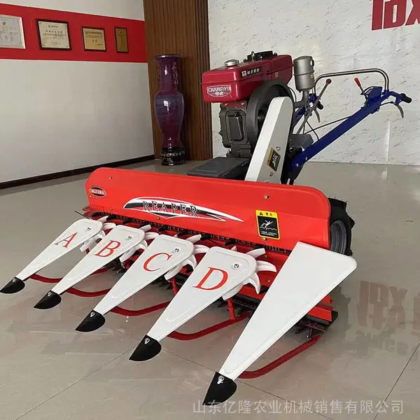 ����ʽ�������ո�� �����֦����ɹ�� «έ�������