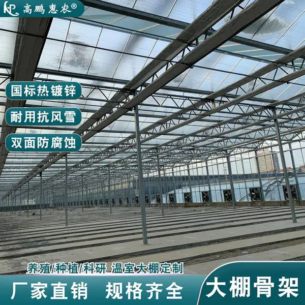 鲁甸县丰水梨双膜大棚管尺寸对照