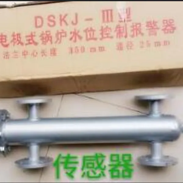 锅炉水位计控制器/ 水位传感器 型号 DS100-DSKJ-IV 库号 M62636