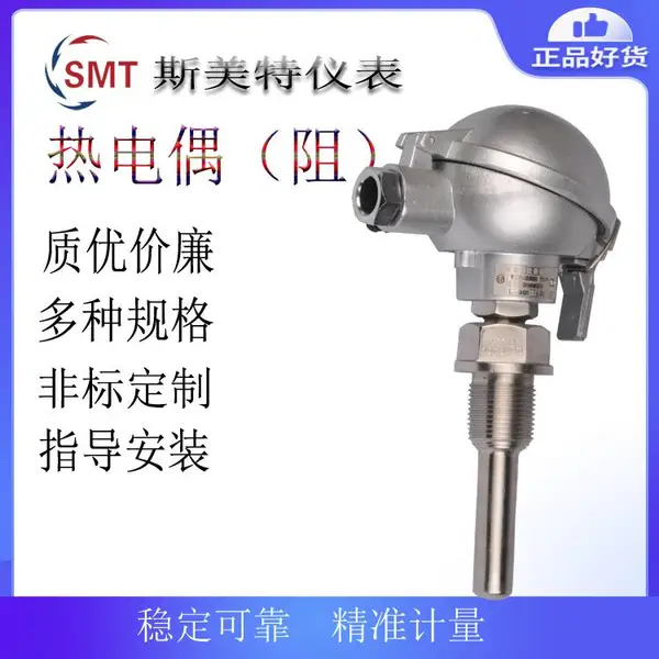 װ��ʽ�ȵ��� WZP-430 3A Pt100 L800*I600 �ķ� M16*1.5 DN100