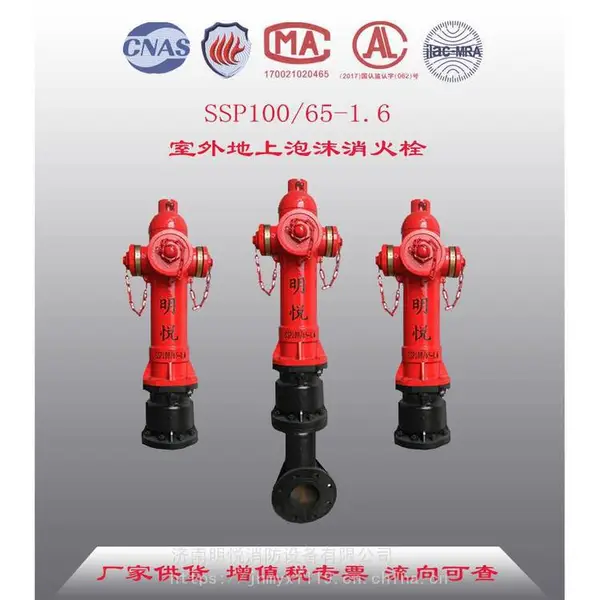 GB4452 ��³����Ʒ�Ƶ�����ĭ����˨SSP100/65-1.6