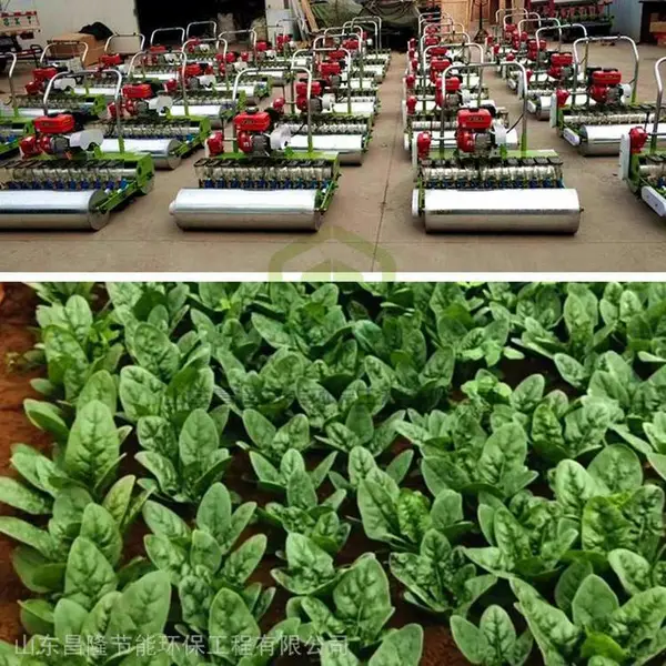 垄间作业小型耘耕机 手扶式玉米施肥播种机 大棚种植微耕除草机