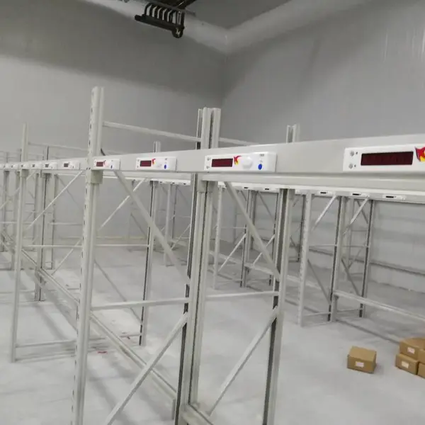DPS摘取式电子标签拣选系统 库房按灯订单分拣设备SL-P3