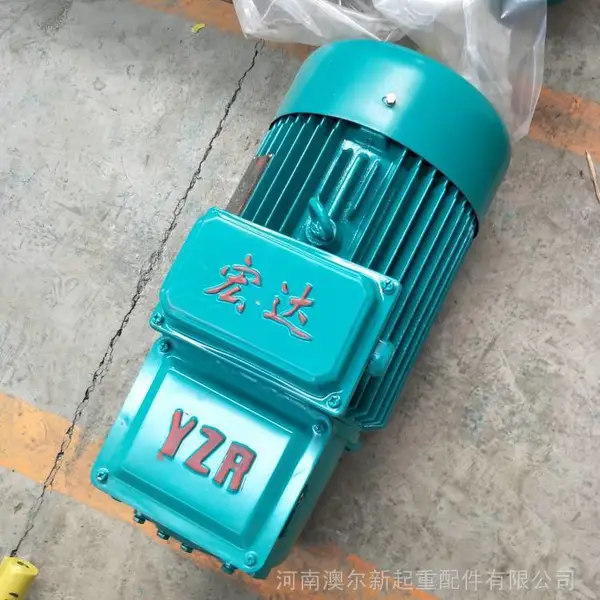 YZR����ת�ӽ������ �����첽�綯�� ��˫����