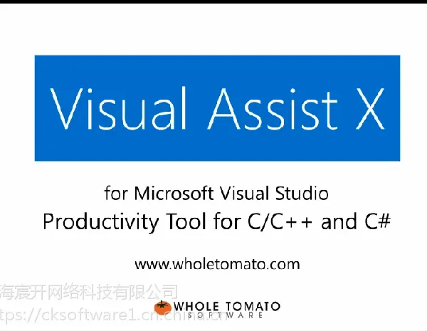 Visual Assist X正版价格, Visual Assist X多少钱?购买软件,