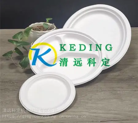 广东纸托厂供应一次性餐盒 纸塑餐盘 烧烤盘蛋糕盘