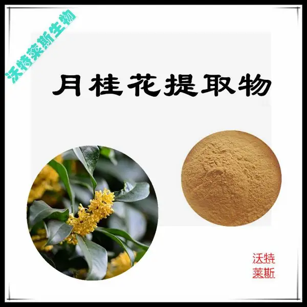 月桂花提取物10:1 浸膏粉 沃特莱斯生物 多规格可定制 喷雾干燥