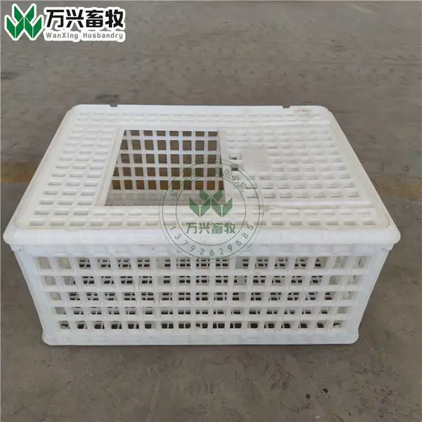 供应万兴畜牧蛋鸡周转筐