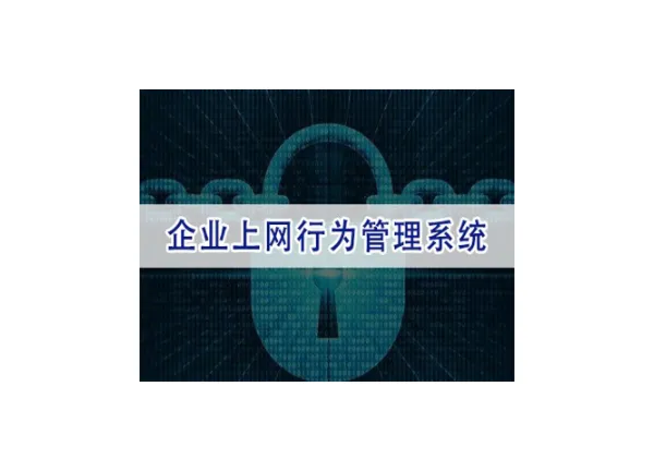 上海好用的上网行为管控多少钱 欢迎来电 上海迅软信息供应