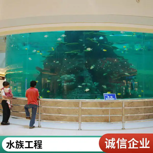 嵌入式鱼缸定做 内嵌亚克力鱼 缸定制 海水造景缸 品质保证