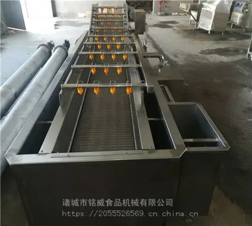 豆芽清洗机 气泡式豆芽清洗设备厂家
