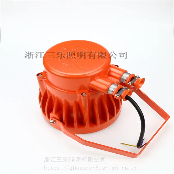 ���ʿ��ø�����LEDͶ��� DGS100/127L(A) ������