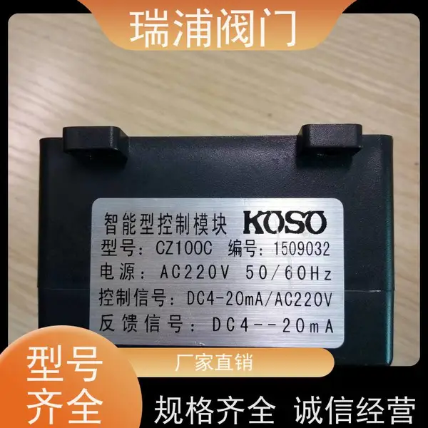���������Ϳ���ģ��CZ100C��� KOSO��AC220V��371R/L�綯ִ�л���