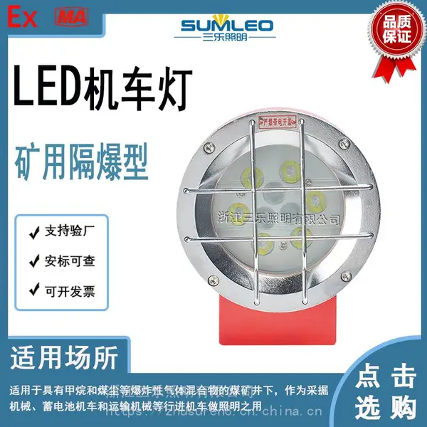 三乐照明 DGE24/24L(A) DGE系列机车灯