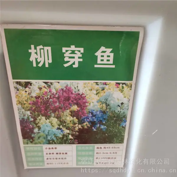 �����²ɲݻ����� ���������� ��ѿ*** �۸���� ***